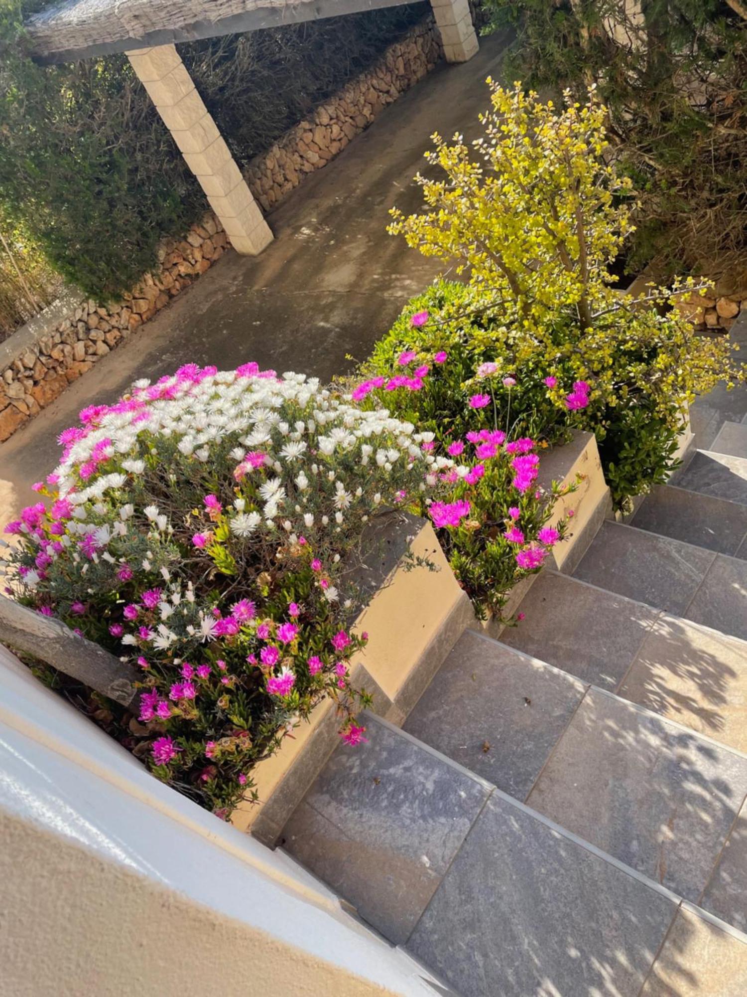 Villa Quatre Vents ปุนตาพริมา ภายนอก รูปภาพ